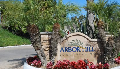 Arbor-Hill