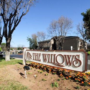 The-Willows